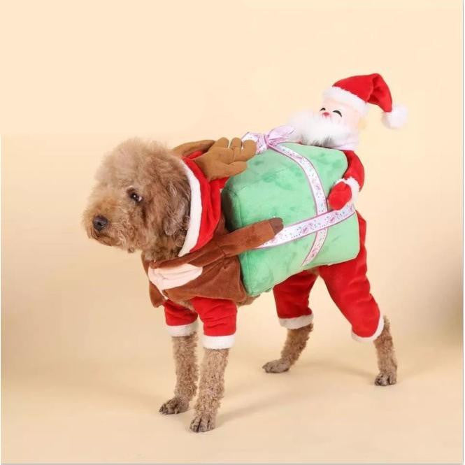 Halloween dog costume