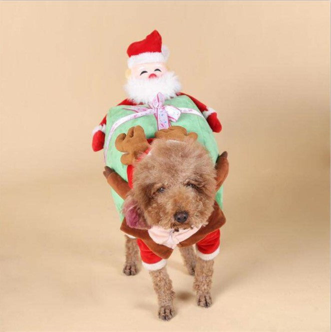 Halloween dog costume