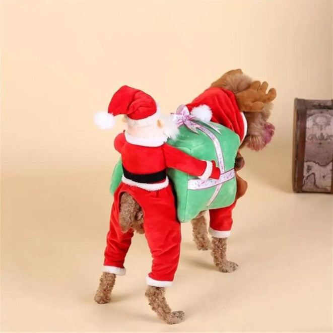 Halloween dog costume