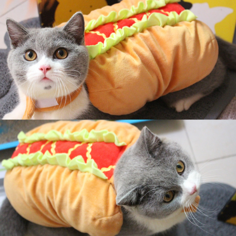Pet Sandwich Costume