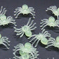 Spider 50/Pack