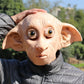 Dobby Mask